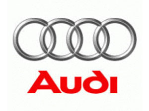 Audi Differentials